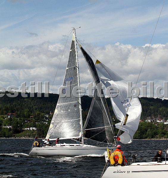 NOR11161_9.jpg