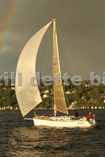 NOR11541_3.jpg