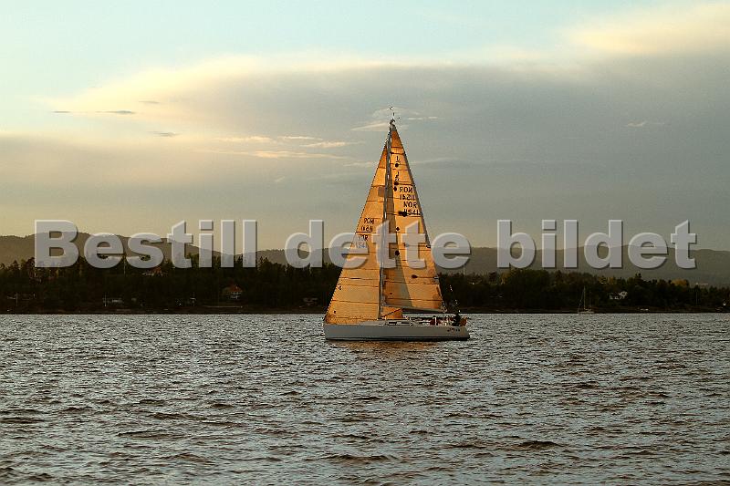 NOR11541_4.jpg