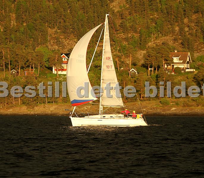 NOR11817_1.jpg