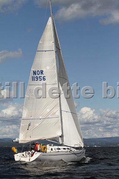 NOR11956_4.jpg