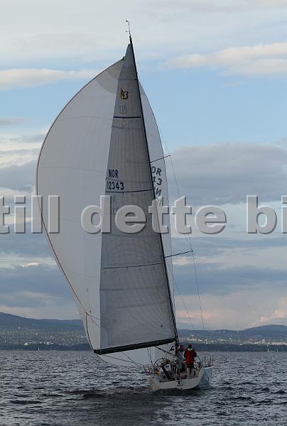 NOR12343_8.jpg