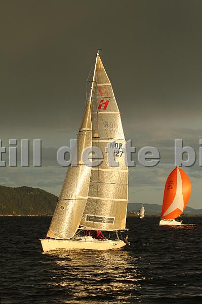 NOR127_2.jpg