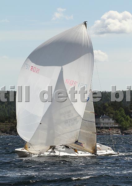 NOR127_5.jpg