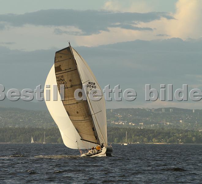 NOR13040_2.jpg