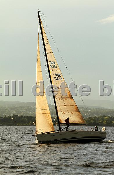 NOR13639_7.jpg