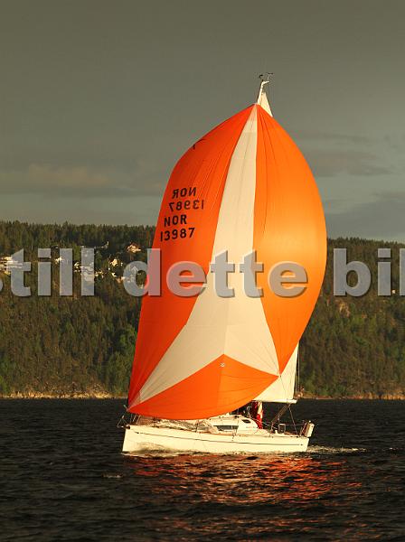 NOR13987_1.jpg