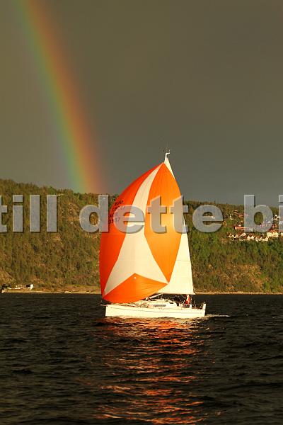 NOR13987_3.jpg