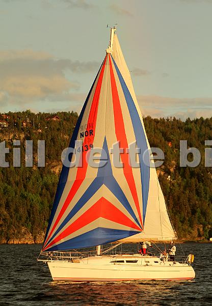 NOR14139_2.jpg
