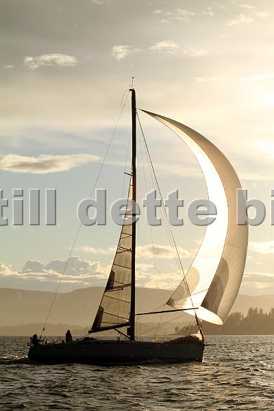 NOR14442_1.jpg