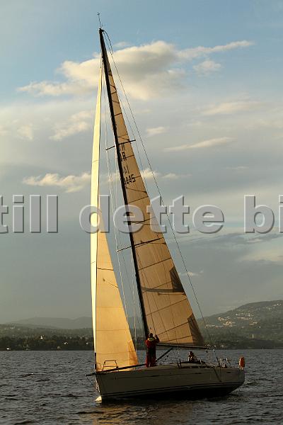 NOR14445_1.jpg