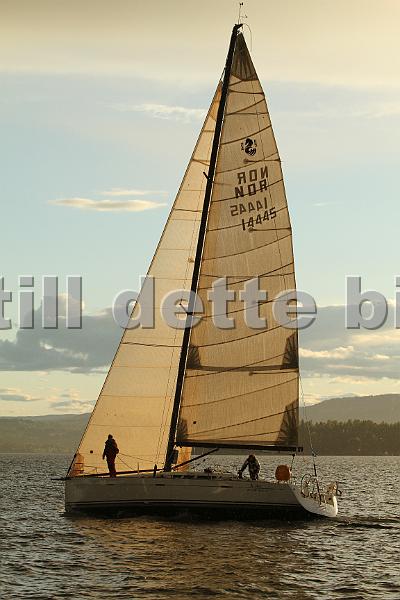 NOR14445_2.jpg