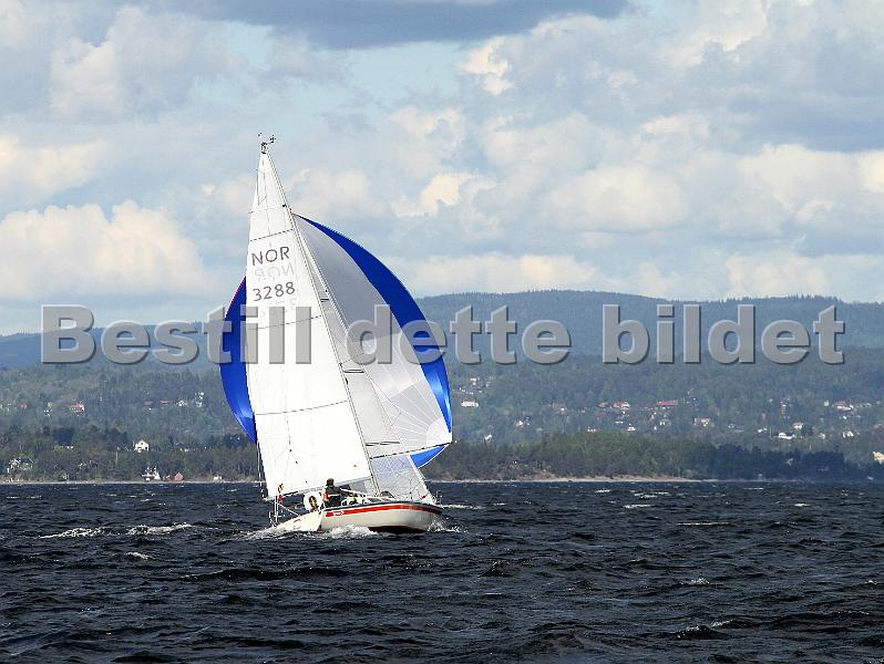 NOR3288_2.jpg