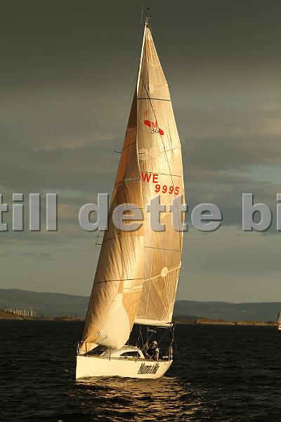 SWE9995_1.jpg