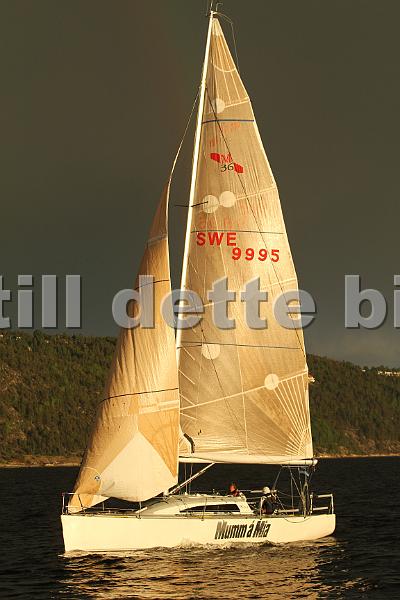 SWE9995_2.jpg