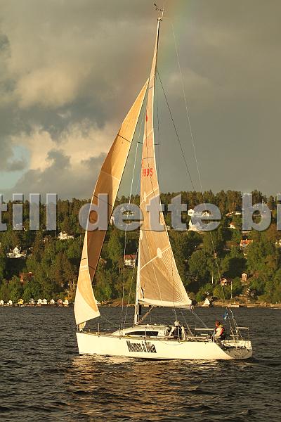 SWE9995_3.jpg