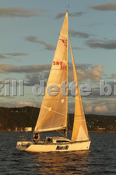 SWE9995_4.jpg