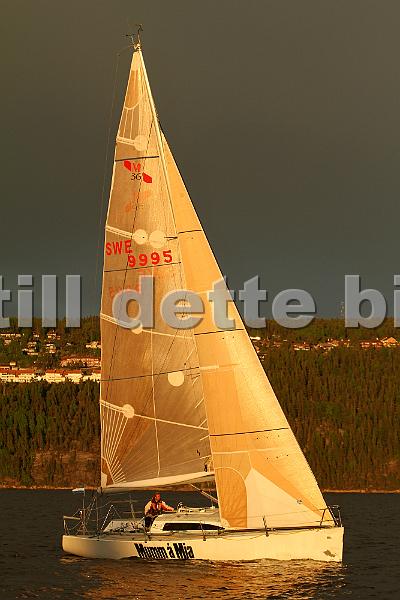 SWE9995_6.jpg