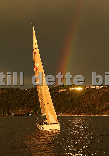SWE9995_7.jpg