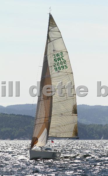 SWE9995_8.jpg