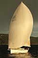 NOR11541_1