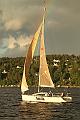 SWE9995_3