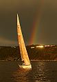 SWE9995_7