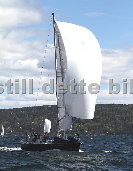 NOR10168_2.jpg