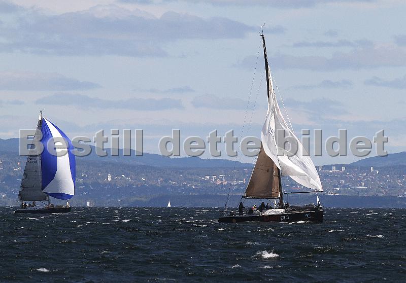 NOR10544_3.jpg