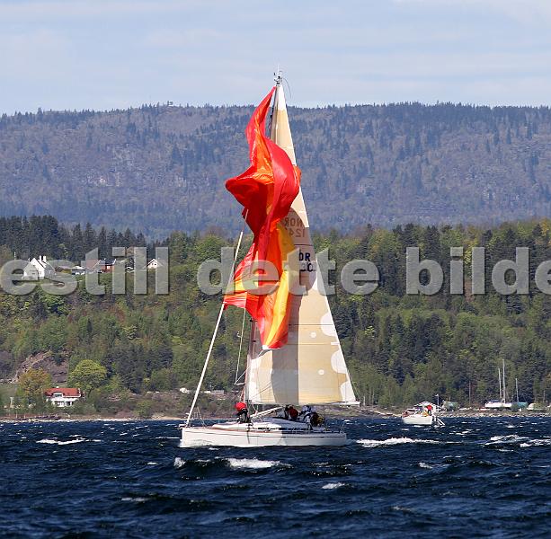 NOR12430_1.jpg