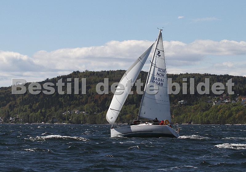 NOR14648_3.jpg