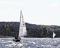 NOR11110_1