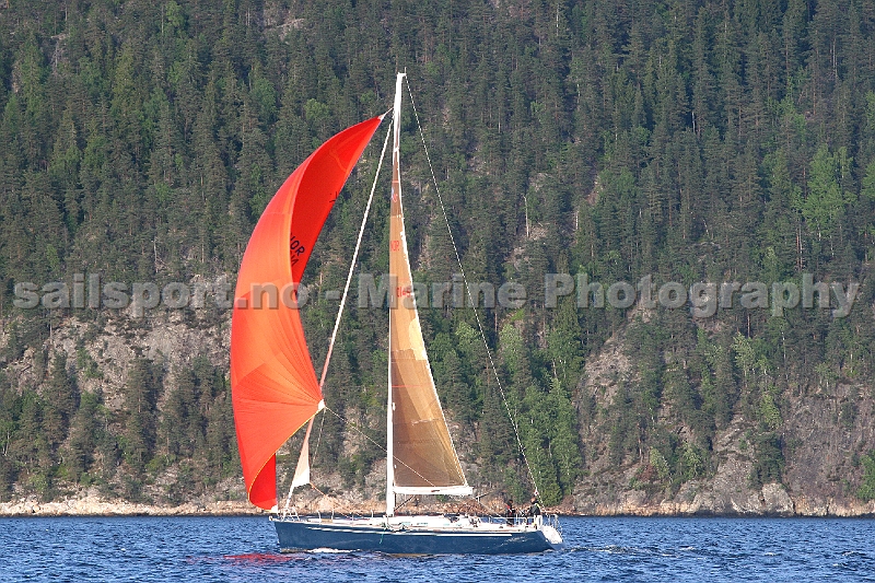 NOR10145_4.jpg