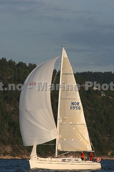 NOR11956_4.jpg
