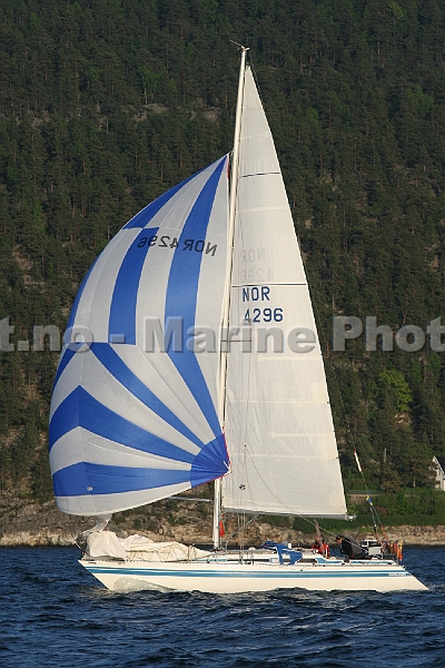 NOR4296_6.jpg