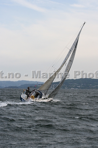 OSR2010_14.jpg