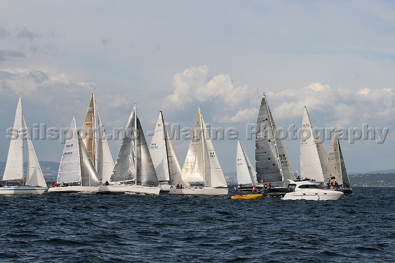 OSR2010_4.jpg
