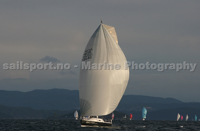 OSR2010_8.jpg