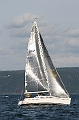 NOR11161_3