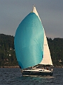 NOR12267_6