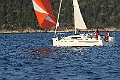 NOR13987_4