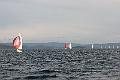 OSR2010_9