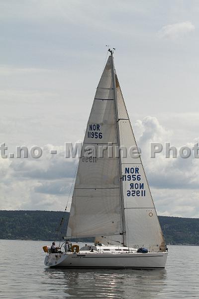 NOR11956_6.JPG