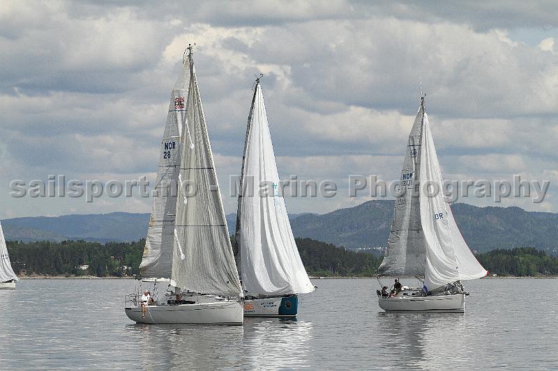 OFR2013_2.JPG