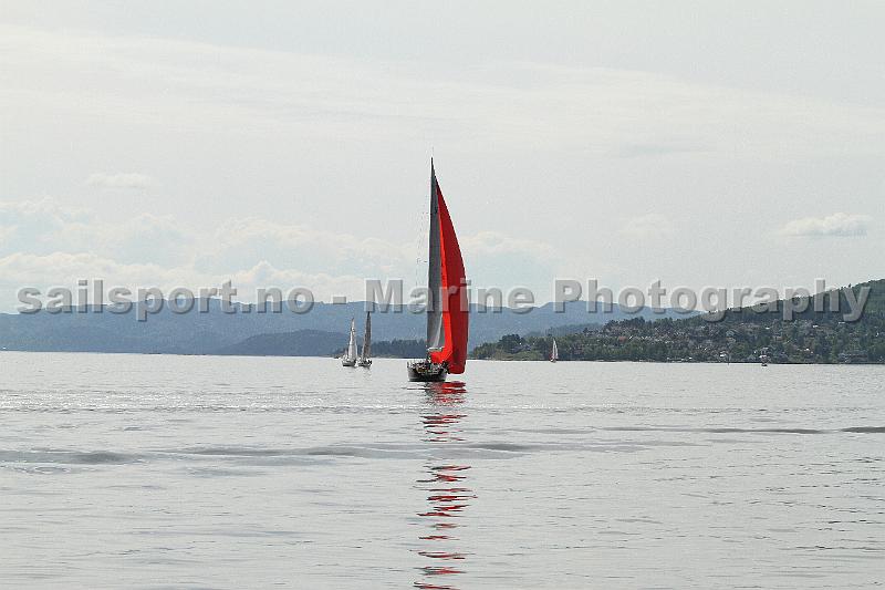 OFR2013_5.JPG