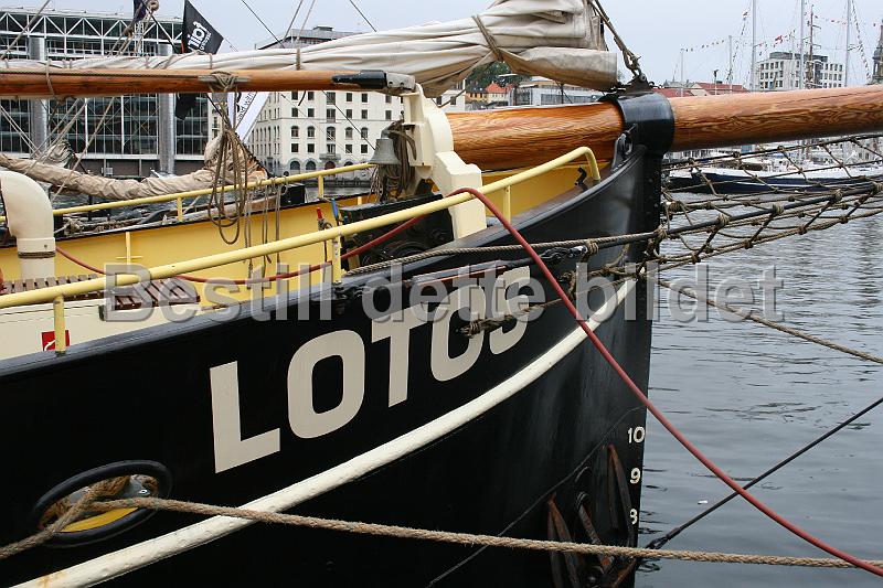 Lotos242.jpg