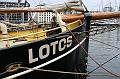 Lotos242