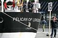 PelicanOfLondon109