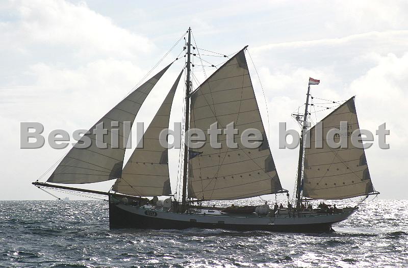 Tecla_3.jpg