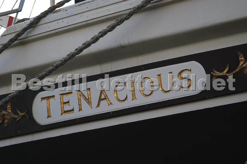 Tenacious_11.jpg